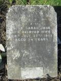 image of grave number 381204